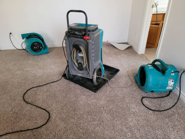 Best 24-hour water damage restoration  in South Hill, NY