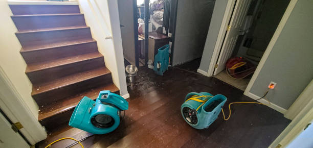 Best Water damage restoration near me  in South Hill, NY