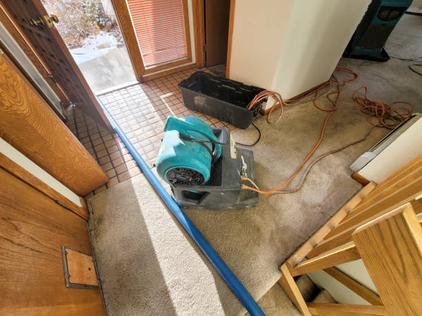 Best Professional water damage repair  in South Hill, NY
