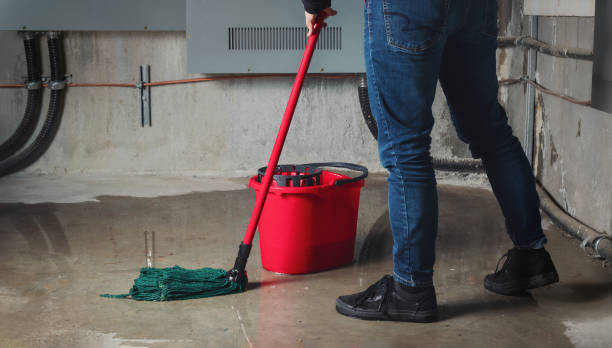 Best Professional water damage repair  in South Hill, NY