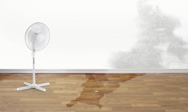 Best Fire Damage Restoration  in South Hill, NY