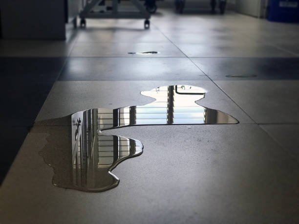 Best Commercial water damage restoration  in South Hill, NY