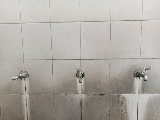 Best Emergency water damage restoration  in South Hill, NY