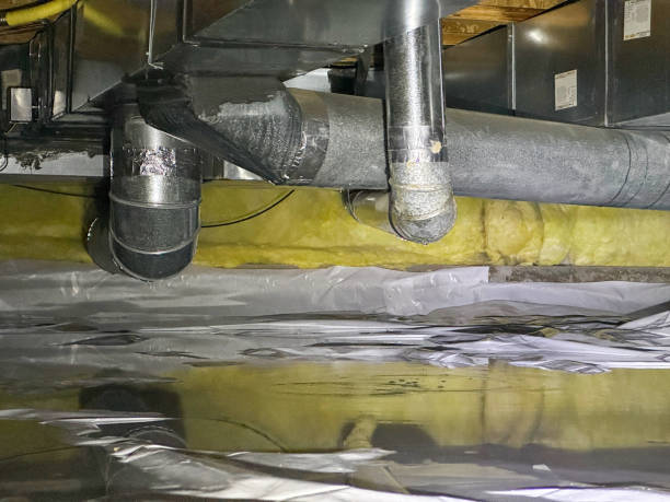 Best Flood damage cleanup  in South Hill, NY