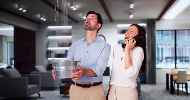Best Water damage contractors near me  in South Hill, NY